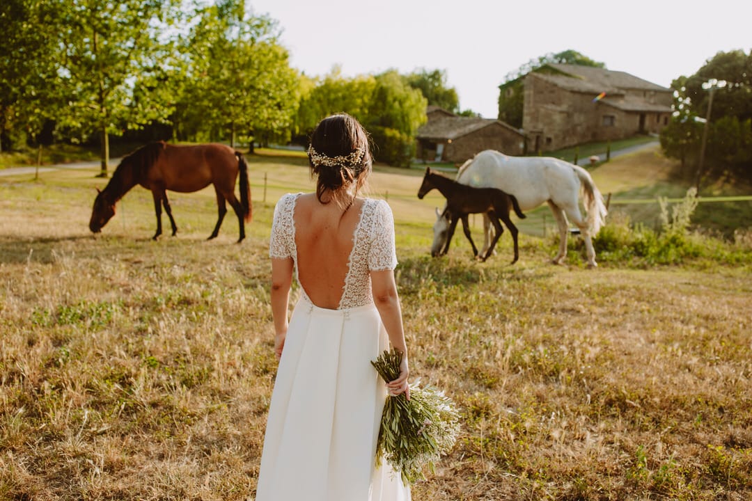 fotografias boda entre caballos